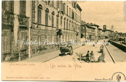 Cartolina Pisa - Lungarno Galileo Galilei