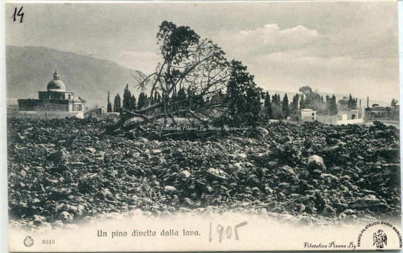 13   Napoli   XIX   Pino abbattuto