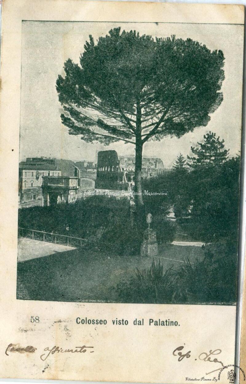 Cartolina illustrata Roma. Colosseo visto dal Palatino