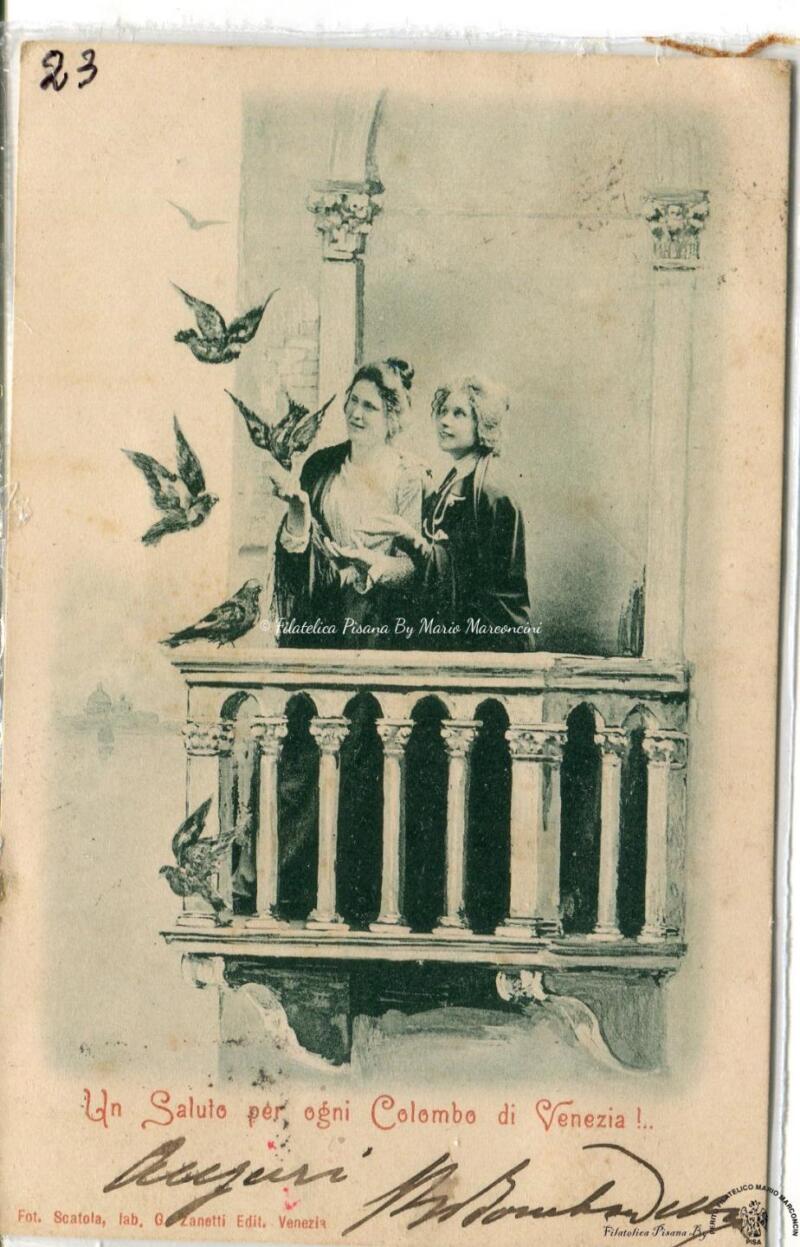 Cartolina illustrata Un saluto per ogni colombo di Venezia