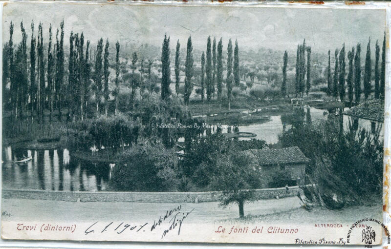 Cartolina illustrata Trevi (dintorni) Le Fonti del Clitunno