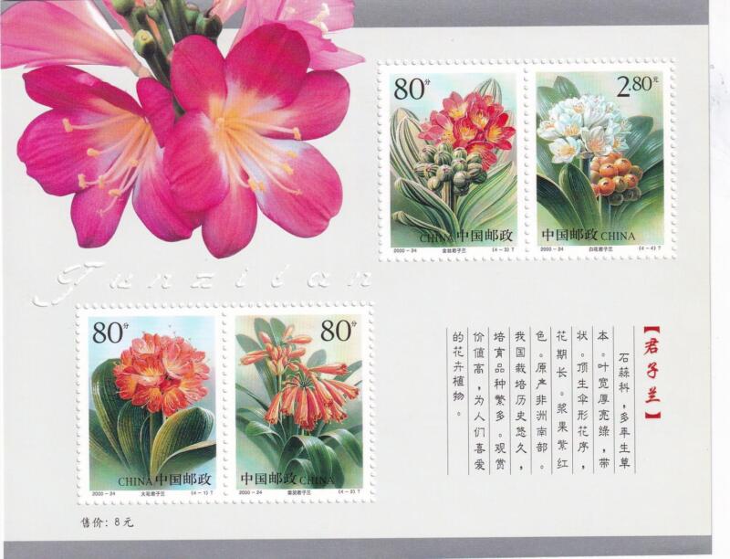 Foglietto Cina - Anno 2000 Fiori