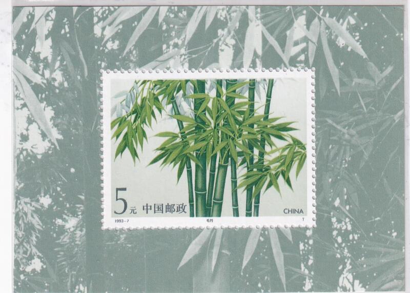 Foglietto Cina - Anno 1993 Bambù