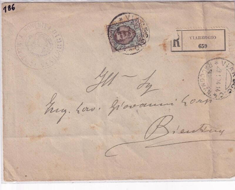 Storia postale. Raccomandata da Viareggio R 659 del 29/01/1924 a Bientina (Pisa) 30/01/1924