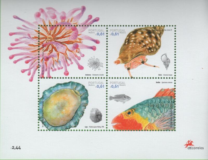 Foglietto Madera Anno 2007 Fauna marina (BF 36)