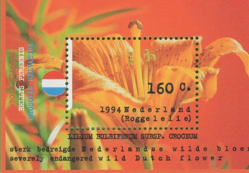 Foglietto Olanda Anno 1994 Natura e ambiente Fiori (BF 40)