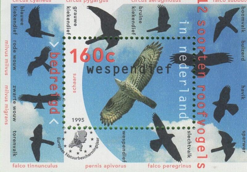Foglietto Olanda Anno 1995 Protezione della natura Rapaci (BF 44)