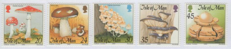 Francobolli Man Anno 1995 Funghi