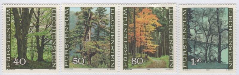 Francobolli Liechtenstein Anno 1980 Alberi della foresta nelle quattro stagioni