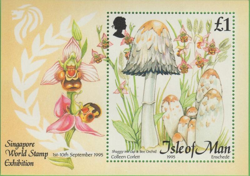 Foglietto Man Anno 1995 Funghi